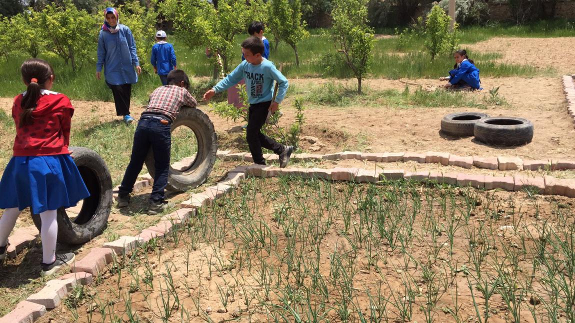 Tarıma Engel Yok ve Okullarımız Çiçek Açıyor Projesi